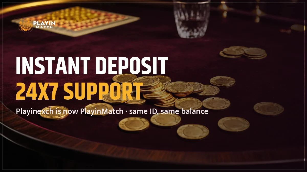 PlayinMatch notice — instant deposit and 24x7 support
